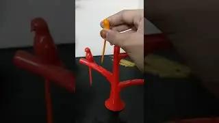 rainbow 🌈 parrots 🦜 plz subscribe