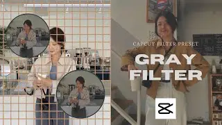 Gray filter || capcut filter preset