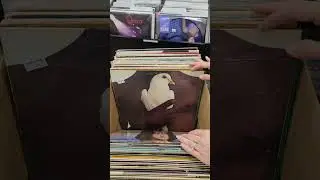 Vinyl Record Restock with Colored Vinyl Rarities