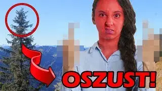 NAJGORSZE RODZAJE DRZEW