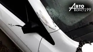 Упало дерево на авто.  Что делать. Автоюрист Авдеев Владимир