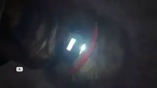 DOG TRAINING SESSION AT NIGHT WITH INVIROX SPARK K 9 E COLLAR