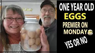 Testing Hydrated Lime Eggs  One Year Old / Premier announcement