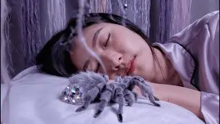 Which Cute Creature Would You Pet & Fall Asleep With? ASMR Fantasy Rooms✨