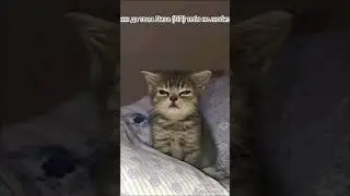 Самый быстрый монтаж