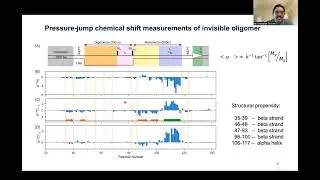 2023-03-14 ICMRBS ECR Webinar: Chiliveri