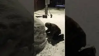 25 января 2020 г.