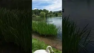 Нет лучшей музыки, чем тишина...