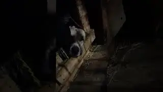 Горят фонари