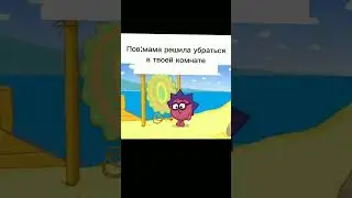 15 декабря 2023 г.