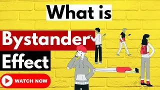 What is Bystander Effect? How Society's Response Shapes Life-Saving Moments