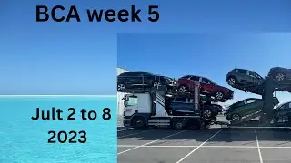 BCA week 5