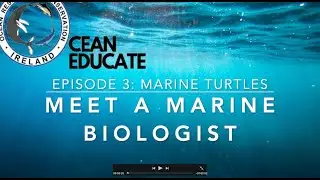 Meet a Marine Biologist_Episode 3: Marine Turtles