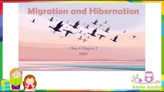 Migration and Adaptation  - Module 2.4 (Chapter 2 - Olympiad Class 4 Science)