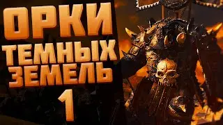 КАЛЕДОРСКИЙ УРОДЕЦ | ОРКИ ТЕМНЫХ ЗЕМЕЛЬ - TOTAL WAR: WARHAMMER 3