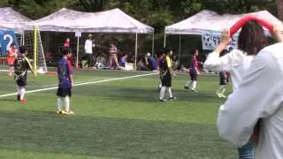 언동월드스타 3경기 전반