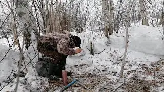 Диалоги о мечтах. НАЧАЛО СТРОИТЕЛЬСТВО ИЗБЫ.