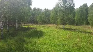 Участок №38 - 11.8 соток - 230 000 ₽ в Деревне Болдино по Горьковскому шоссе 120 км
