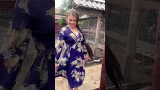 эх,деревня! 