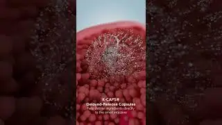 KCAPS DELAYED RELEASE CAPSULES