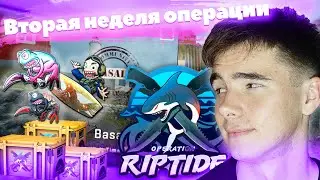 Окупил операцию? Вторая неделя операции 
