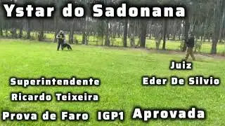 Ystar do Sadonana - Prova de Faro -  IGP1  - TITULAÇÃO ( APROVADA)