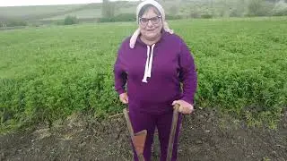 Садимо Квасолю - Стратегичний Продукт.