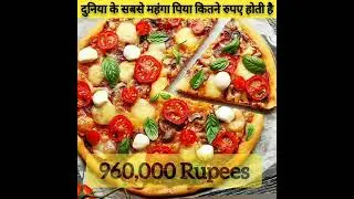 Pizza Facts | Fact | दुनिया की महंगा पिया कितने रुपए तक होती है | Shorts Facts | Shorts