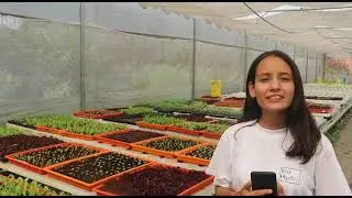 Introducing Ind Hydro | Learn the concept of hydroponics