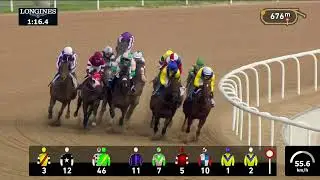 Dubai World Cup 2024 / Конный спорт