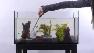 Teppanyaki from the In Vitro Aquarium - Bistro In Vitro