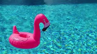 The Dandy Warhols     The Summer of Hate  Original Version Visualizer