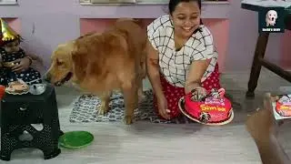দুই খুদেই এত অবাক কেনো । জন্মদিনে কি কি মজা করলাম । সবাই কত গিফট দিলো। Simba's Birthday Part 2 |