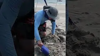 How to Set Up a Beach Canopy on a Windy Day.