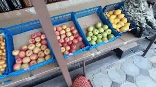 Абхазия 4 июня 2023 г. Пицунда рынок жильё цены
