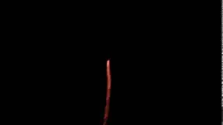 Queima de fogos 11