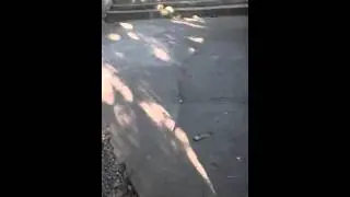 Одесса  .  Рядом с горсоветом