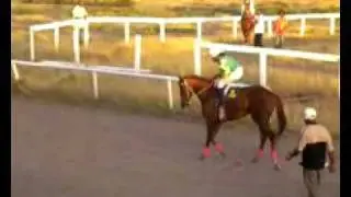 Horse racing in Nevis 22 - Post Parade