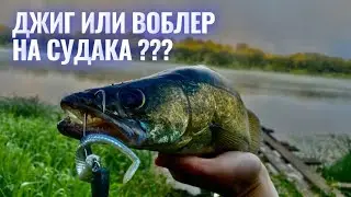 СУДАК НА ОКЕ | ВОБЛЕР ИЛИ ДЖИГ  |