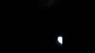 1 декабря 2018 г.