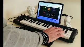 Polybeep Live