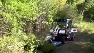BRUSHCAT BOBCAT