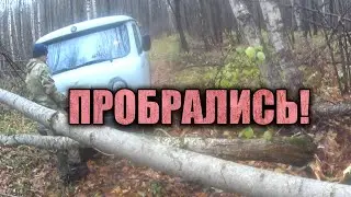 НАШЛИ СТАРУЮ ДЕЛЯНКУ! ТРАКИ, ЗАПЧАСТИ, БЕЗДОРОЖЬЕ, ЛЕС! ШИКАРНАЯ ПОЕЗДКА ЗА МЕТАЛЛОМ НА УАЗЕ!