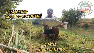 TOCA DO TUCUNARÉ FISHING FACILITY - QUATIS, RJ
