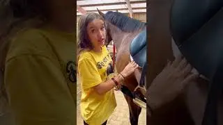 Saddling My Horse Before a Riding Lesson! 