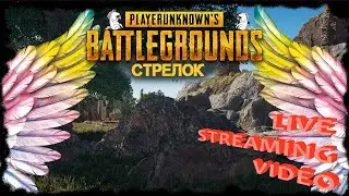 Стрелки | Стрим | PUBG | ПАБГ | ПУБГ | ОнЛайн