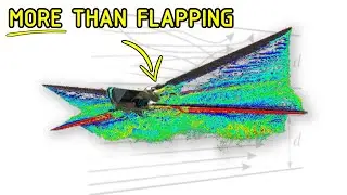 Dune's Ornithopter Aerodynamics - Accurate CFD Sim