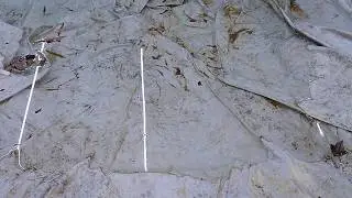 VID 20191216 143847797