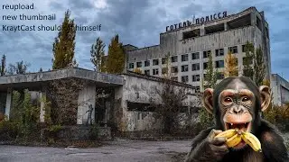 Monkey in Chernobyl (low quality reupload)