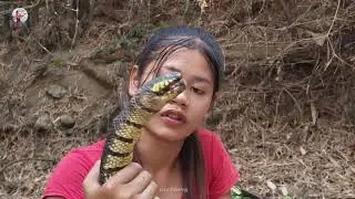 Wow Yummy Snake Soup! Catching water snake & cooking with easy recipe for jungle food 